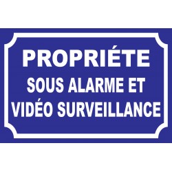 Panneau propriété sous alarme et vidéo surveillance