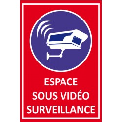 Site sous vidéo surveillance