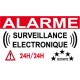 Alarme surveillance électronique                               (lot de 6p)