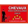 Panneau Chevaux sous Surveillance 24h/24 en PVC de 3 mm d'épaisseur-Panneau chasse interdite-Panneaux Signalétiques