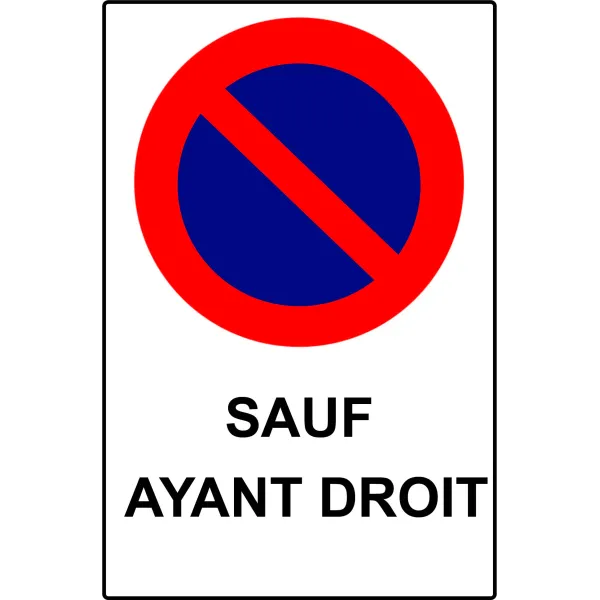 Panneau personnalisé avec pictogramme stationnement-Panneau personnalisé-Panneaux Signalétiques