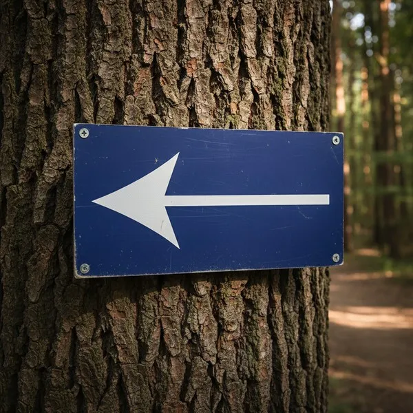 Panneaux Chasse Gardée : Signalisation, Réglementation & Loi