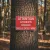 Panneau Attention Chute d’Arbres | Signalétique Route & Chemin