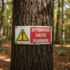 Panneau danger attention chute d'arbres – Panneau risque de chute