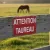 Panneau Attention taureau – Panneau attention Danger