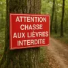 Panneau Attention chasse aux lièvres interdite – chasse interdite