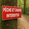 Panneau Pêche et chasse interdites – Panneau chasse interdite
