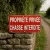 Lot de 10 panneaux propriété privée chasse interdite
