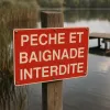 Panneau Interdiction Pêche et Baignade 300x200mm Aluminium