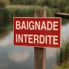 Panneau Baignade Interdite | Signalisation et Prix