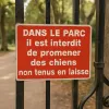 Panneau Interdit aux Chiens Sans Laisse – Signalétique Parc