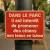 Panneau Interdit aux Chiens Sans Laisse – Signalétique Parc