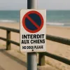 Panneau interdit chiens extérieur – Signalétique accès interdit