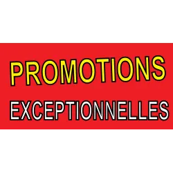 Banderole " PROMOTIONS EXCEPTIONNELLES"-Banderoles-Panneaux Signalétiques 1000x500mm