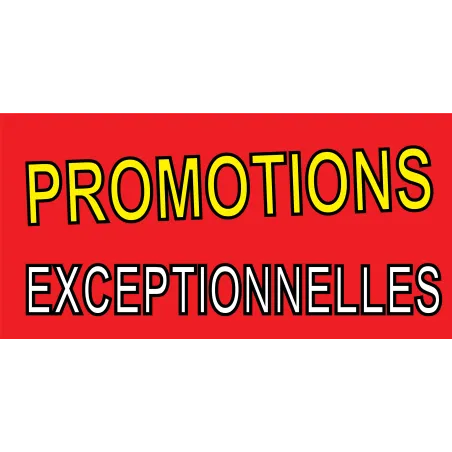 Banderole " PROMOTIONS EXCEPTIONNELLES"-Banderoles-Panneaux Signalétiques 1000x500mm
