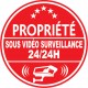 Propriété sous vidéo surveillance 24h24 (lot de 10p)